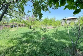 Продается Земля, Сельскохозяйственные, Галавани