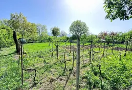 Продается Земля, Сельскохозяйственные, Галавани