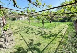 Продается Земля, Сельскохозяйственные, Галавани