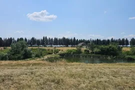 Продается Земля, Сельскохозяйственные, Насагури