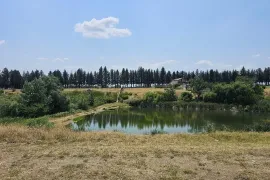 Продается Земля, Сельскохозяйственные, Насагури