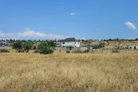 Продается Земля, Сельскохозяйственные, Насагури