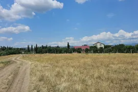 Продается Земля, Сельскохозяйственные, Насагури