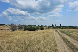 Продается Земля, Сельскохозяйственные, Насагури