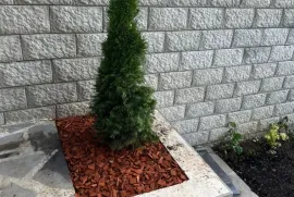 Продается Дом, 7 Kомнатная,  Окрестности Тбилиси, Цхнети