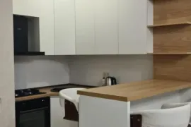 ქირავდება ბინა, 2 ოთახიანი, ახალი აშენებული, თბილისი, დიდი დიღომი