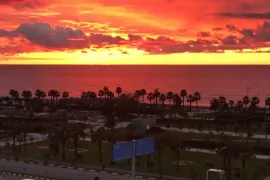 იყიდება ბინა, 1 ოთახიანი, ახალი აშენებული, ბათუმი, აეროპორტის უბანი