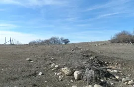 იყიდება მიწის ნაკვეთი, სასოფლო - სამეურნეო, დუშეთი