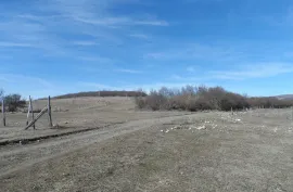 იყიდება მიწის ნაკვეთი, სასოფლო - სამეურნეო, დუშეთი