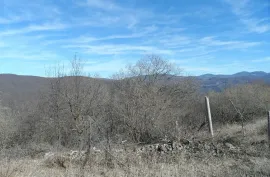 იყიდება მიწის ნაკვეთი, სასოფლო - სამეურნეო, დუშეთი