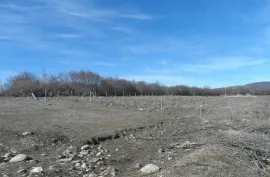 იყიდება მიწის ნაკვეთი, სასოფლო - სამეურნეო, დუშეთი