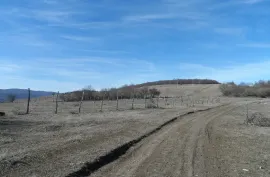 იყიდება მიწის ნაკვეთი, სასოფლო - სამეურნეო, დუშეთი