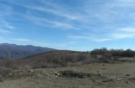 იყიდება მიწის ნაკვეთი, სასოფლო - სამეურნეო, დუშეთი