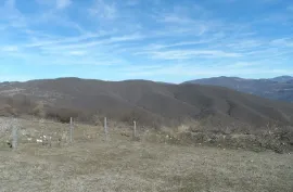 იყიდება მიწის ნაკვეთი, სასოფლო - სამეურნეო, დუშეთი