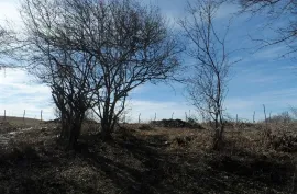 იყიდება მიწის ნაკვეთი, სასოფლო - სამეურნეო, დუშეთი