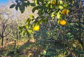 იყიდება ბინა, 1 ოთახიანი, ახალი აშენებული, ბათუმი