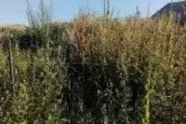 იყიდება მიწის ნაკვეთი, საინვესტიციო