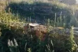 იყიდება მიწის ნაკვეთი, საინვესტიციო