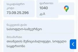 იყიდება მიწის ნაკვეთი, სასოფლო - სამეურნეო, საყდრიონი 