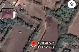 იყიდება მიწის ნაკვეთი, სასოფლო - სამეურნეო, საყდრიონი 