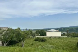 Land For Sale, Non Agricultural, Digomi village