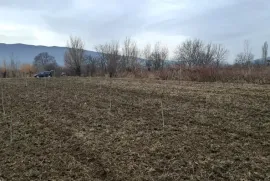 იყიდება მიწის ნაკვეთი, სასოფლო - სამეურნეო, თეზი