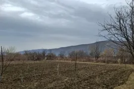 იყიდება მიწის ნაკვეთი, სასოფლო - სამეურნეო, თეზი