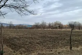 იყიდება მიწის ნაკვეთი, სასოფლო - სამეურნეო, თეზი