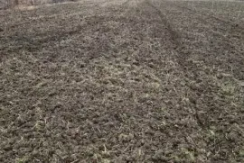 იყიდება მიწის ნაკვეთი, სასოფლო - სამეურნეო, თეზი