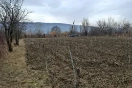 იყიდება მიწის ნაკვეთი, სასოფლო - სამეურნეო, თეზი