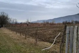 იყიდება მიწის ნაკვეთი, სასოფლო - სამეურნეო, თეზი