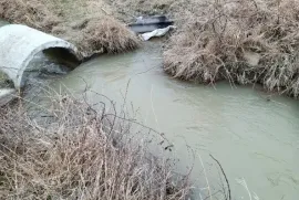 იყიდება მიწის ნაკვეთი, სასოფლო - სამეურნეო, თეზი