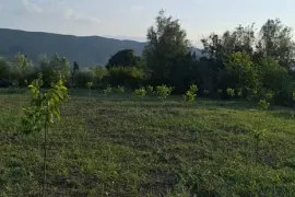 იყიდება მიწის ნაკვეთი, სასოფლო - სამეურნეო, თეზი