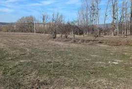 იყიდება მიწის ნაკვეთი, საინვესტიციო, მუხრანი