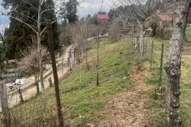 იყიდება მიწის ნაკვეთი, სასოფლო - სამეურნეო