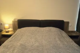 Daily Apartment Rent, 1 Room, New building, Borjomi , Bakuriani