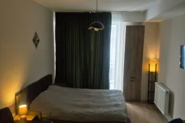 Daily Apartment Rent, 1 Room, New building, Borjomi , Bakuriani