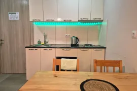 Daily Apartment Rent, 1 Room, New building, Borjomi , Bakuriani