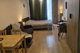 Daily Apartment Rent, 1 Room, New building, Borjomi , Bakuriani