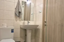 Daily Apartment Rent, 1 Room, New building, Borjomi , Bakuriani