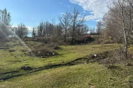 იყიდება მიწის ნაკვეთი, სასოფლო - სამეურნეო, ნაგარევი