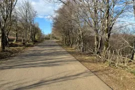 იყიდება მიწის ნაკვეთი, სასოფლო - სამეურნეო, ნაგარევი