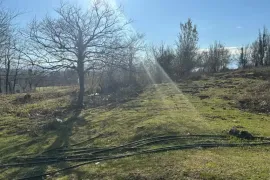 იყიდება მიწის ნაკვეთი, სასოფლო - სამეურნეო, ნაგარევი