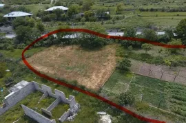 იყიდება მიწის ნაკვეთი, საინვესტიციო, ძეგვი