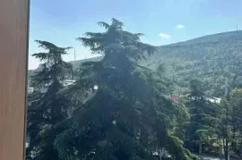 Продается квартира, 4 Kомнатная, Новостройка, Тбилиси, vake