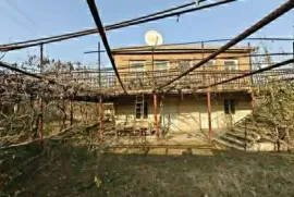 იყიდება სახლი, 1 ოთახიანი, გურჯაანი