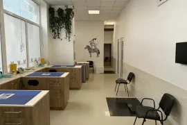 ქირავდება, უნივერსალური კომერციული  ფართი, საბურთალო