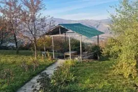 ქირავდება სახლი, 5 ოთახიანი, თბილისის შემოგარენი, წყნეთი