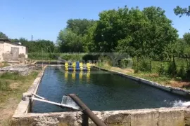 იყიდება, სპეციალური ფართი