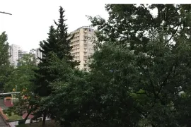 Apartment for sale, 1 Room, Old building, Tbilisi, saburtalo